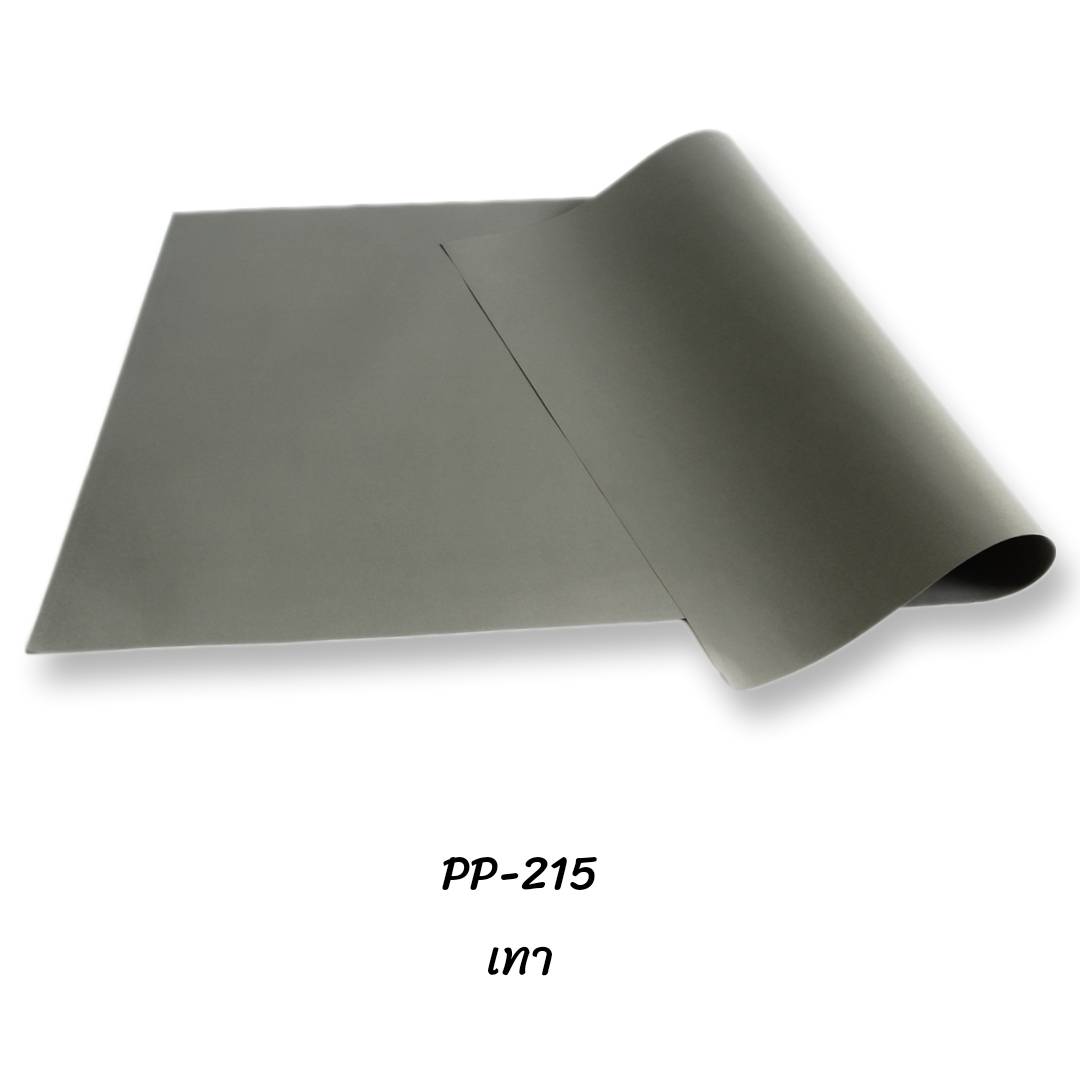 กระดาษโปสเตอร์สี 2หน้า <br> 52x78ซม.